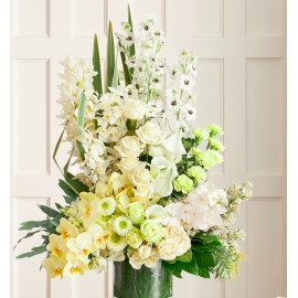 Белое очарование 